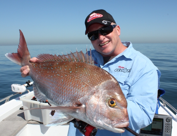 Bumper snapper seasons predicted